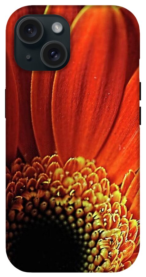 Orange Daisy Close Up - Phone Case
