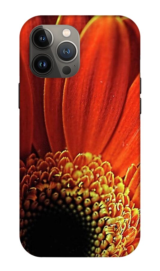 Orange Daisy Close Up - Phone Case