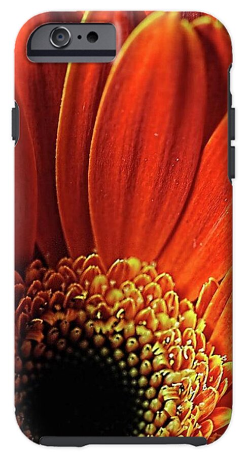 Orange Daisy Close Up - Phone Case
