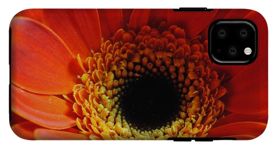 Orange Daisy On Black - Phone Case