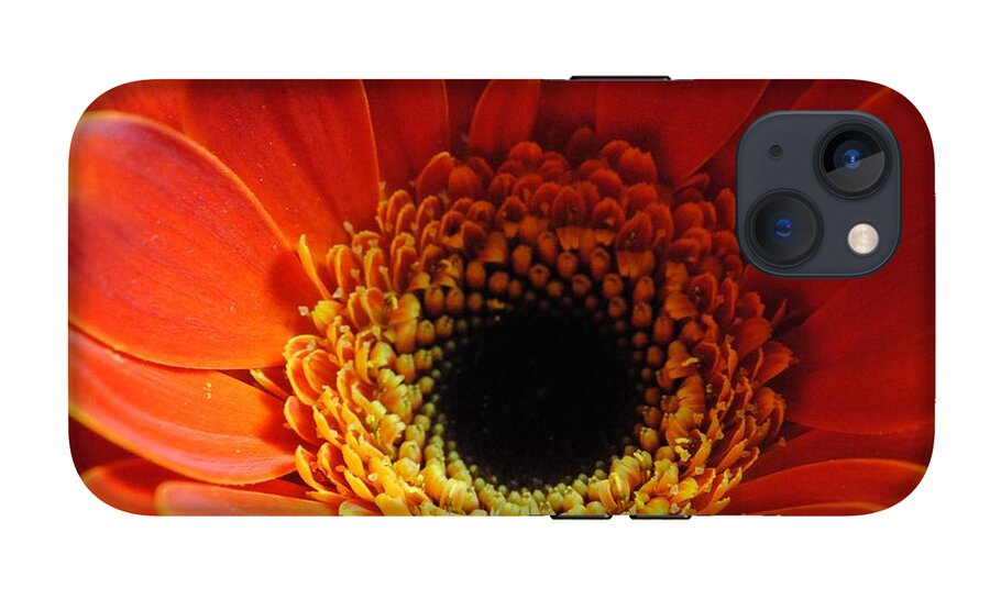 Orange Daisy On Black - Phone Case