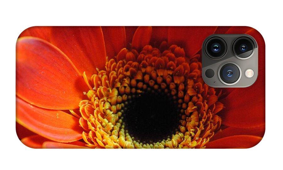 Orange Daisy On Black - Phone Case