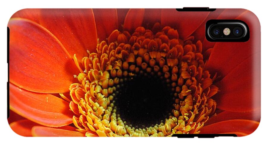 Orange Daisy On Black - Phone Case