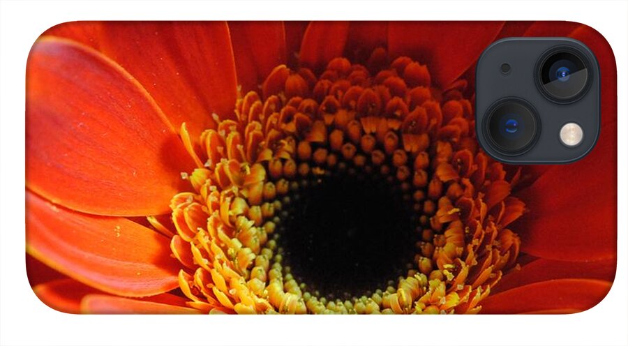 Orange Daisy On Black - Phone Case