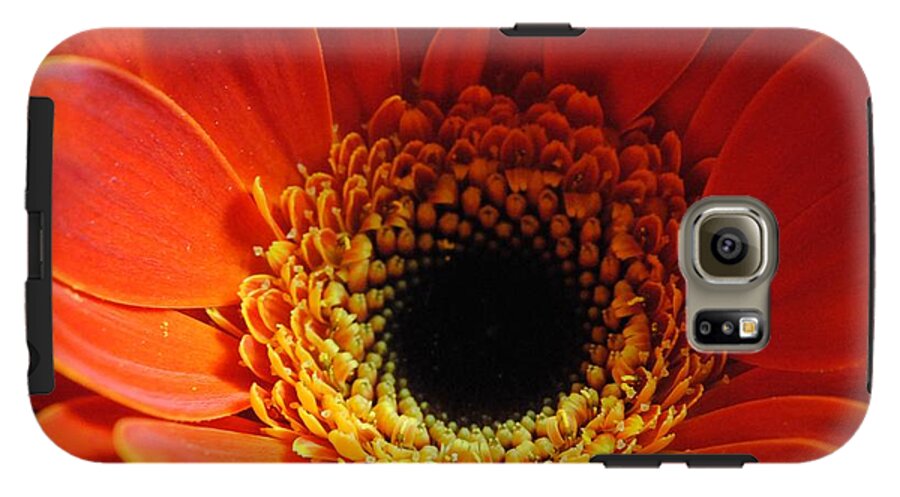 Orange Daisy On Black - Phone Case