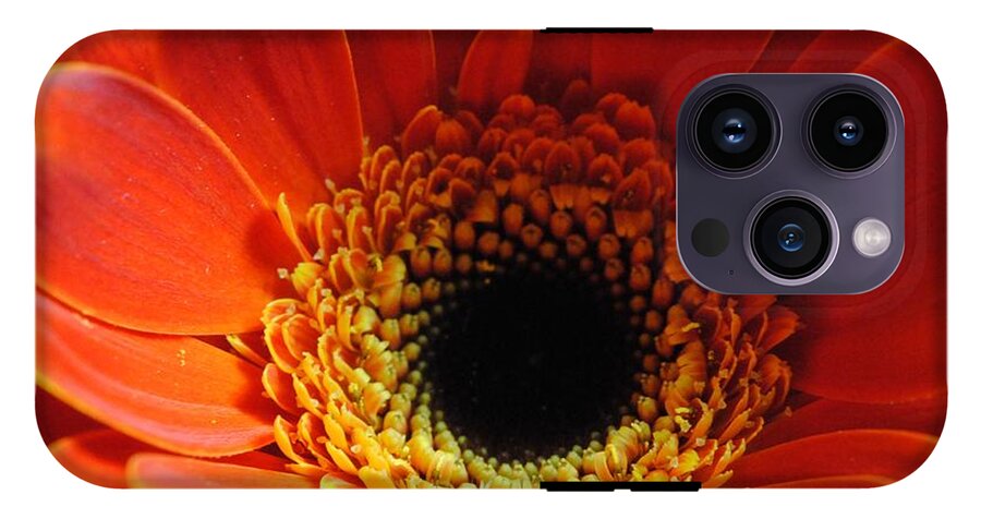 Orange Daisy On Black - Phone Case