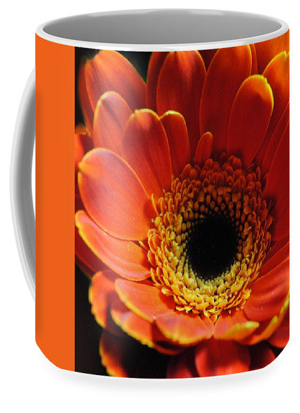 Orange Daisy On Black - Mug