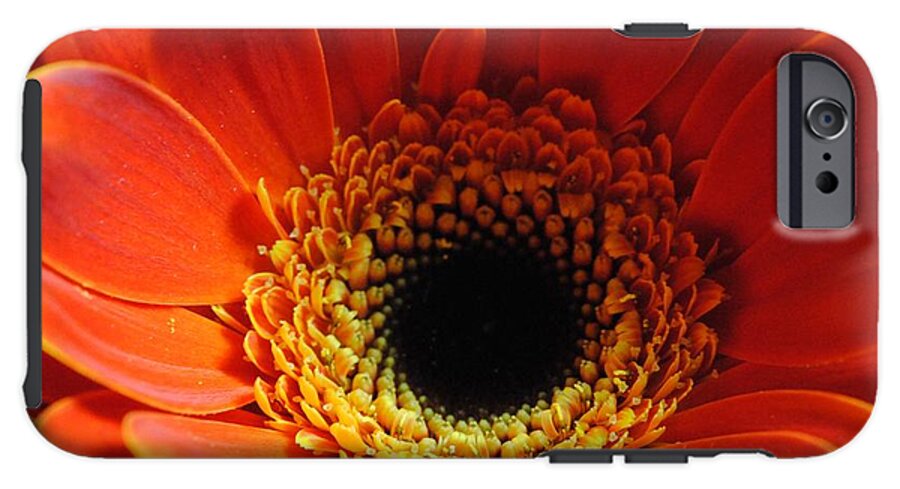Orange Daisy On Black - Phone Case