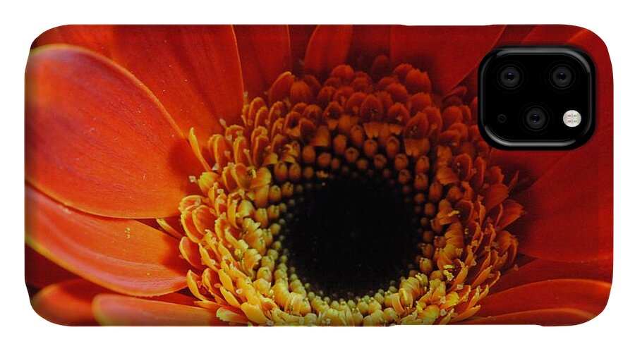 Orange Daisy On Black - Phone Case