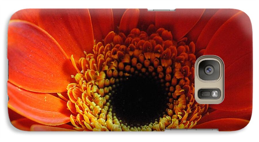 Orange Daisy On Black - Phone Case