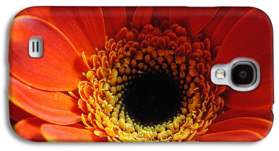 Orange Daisy On Black - Phone Case