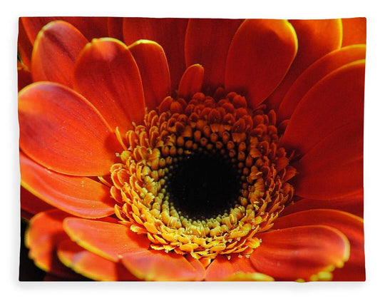 Orange Daisy On Black - Blanket
