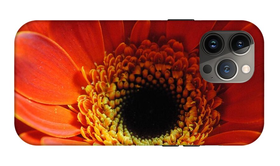 Orange Daisy On Black - Phone Case