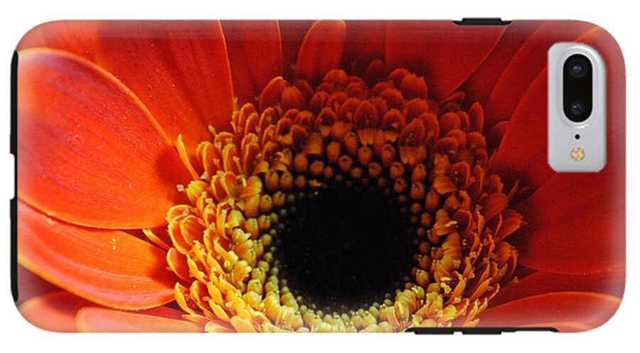 Orange Daisy On Black - Phone Case