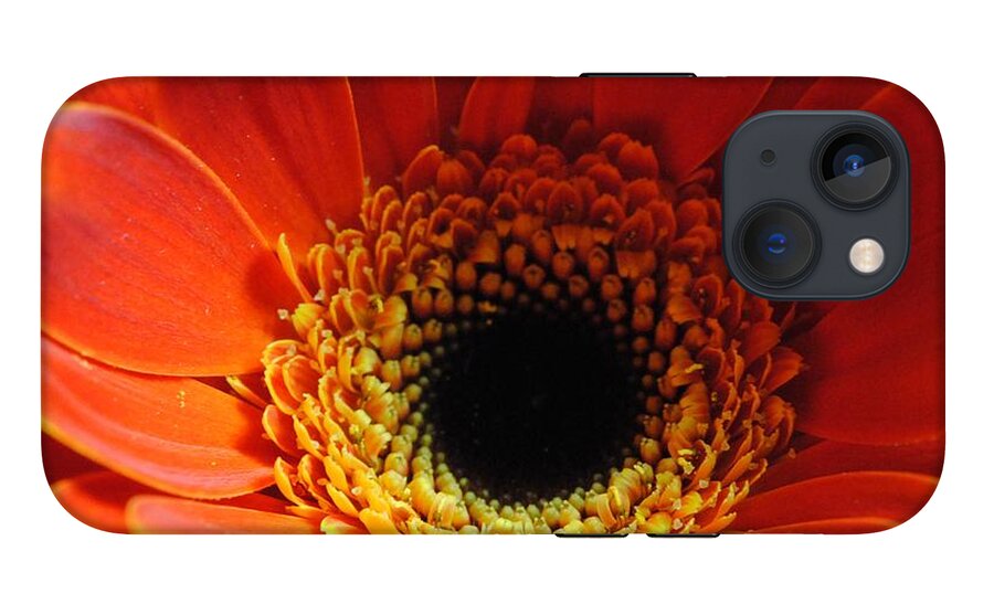 Orange Daisy On Black - Phone Case