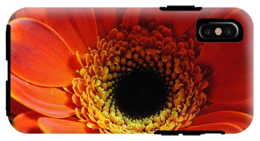 Orange Daisy On Black - Phone Case