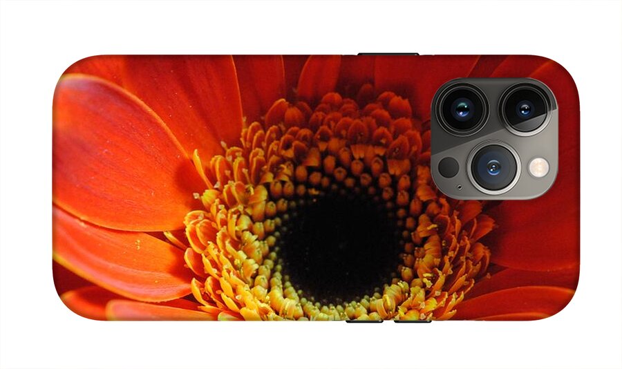 Orange Daisy On Black - Phone Case
