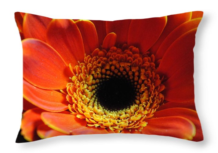 Orange Daisy On Black - Throw Pillow