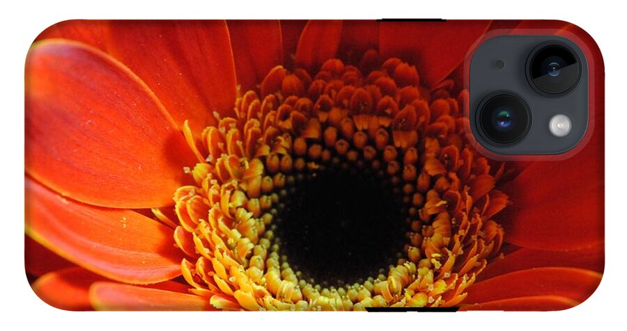 Orange Daisy On Black - Phone Case