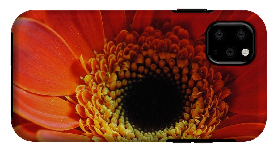 Orange Daisy On Black - Phone Case