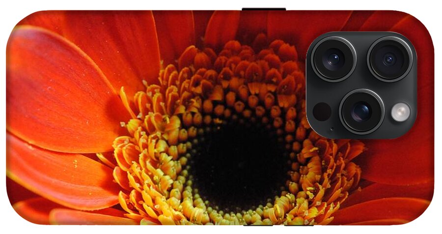 Orange Daisy On Black - Phone Case