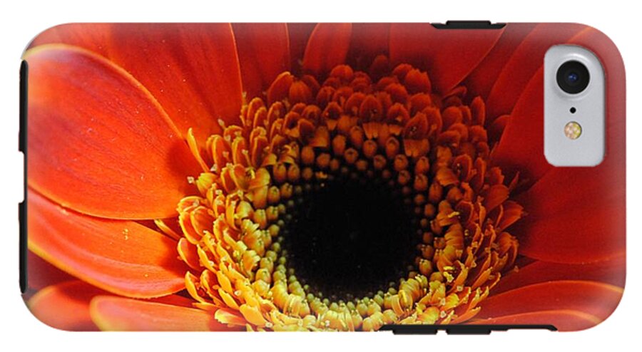 Orange Daisy On Black - Phone Case