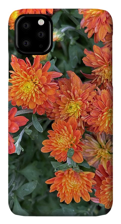 Orange Mums walk - Phone Case