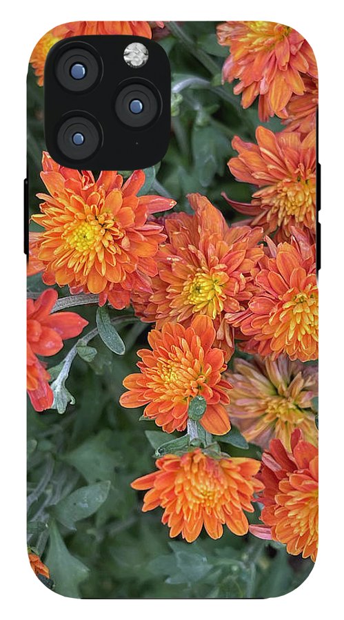 Orange Mums walk - Phone Case
