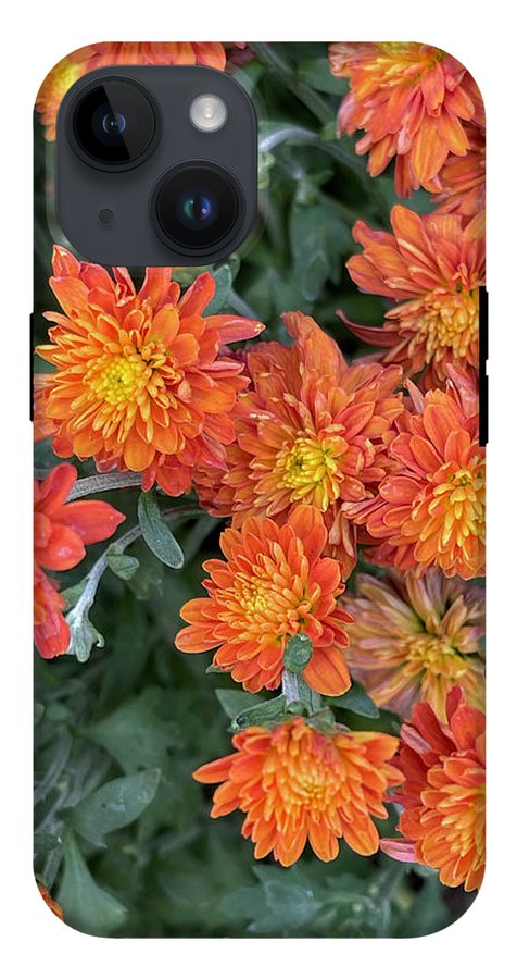 Orange Mums walk - Phone Case