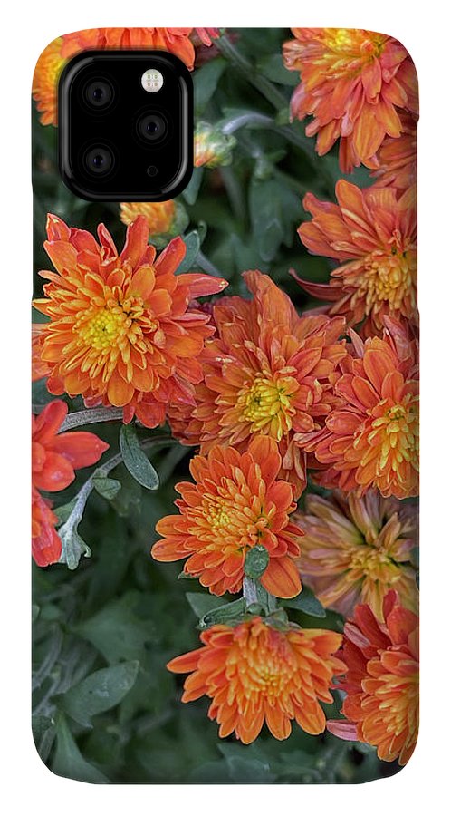 Orange Mums walk - Phone Case