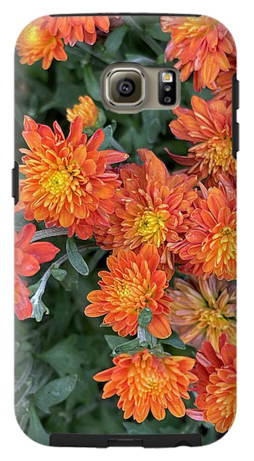 Orange Mums walk - Phone Case