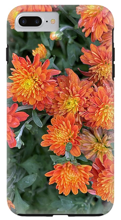 Orange Mums walk - Phone Case