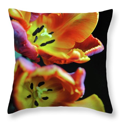 Orange Open Parrot Tulips - Throw Pillow