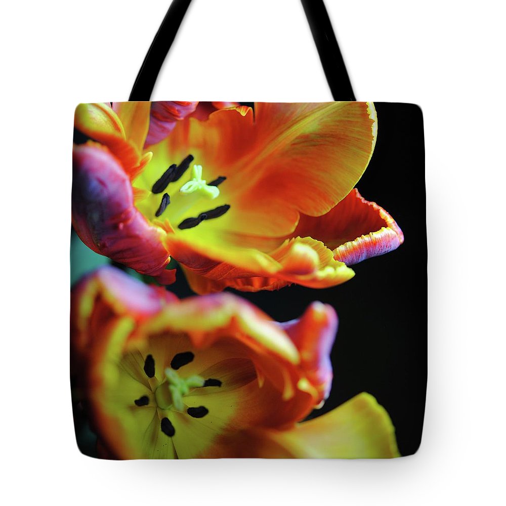 Orange Open Parrot Tulips - Tote Bag