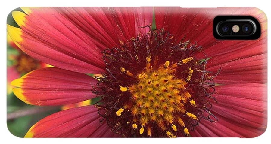 Orange Red Flower - Phone Case