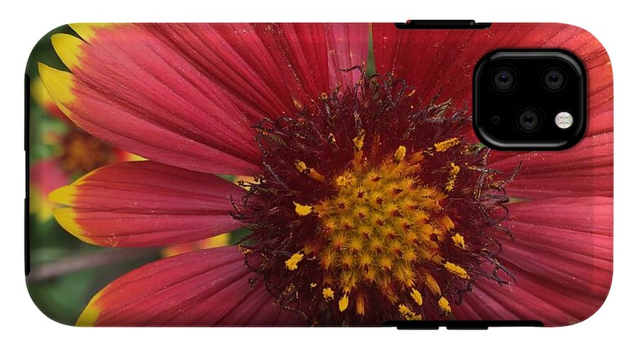 Orange Red Flower - Phone Case