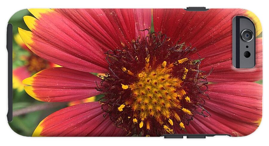 Orange Red Flower - Phone Case