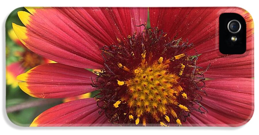 Orange Red Flower - Phone Case