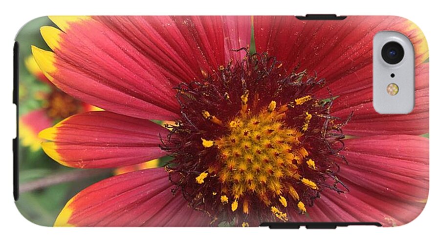 Orange Red Flower - Phone Case