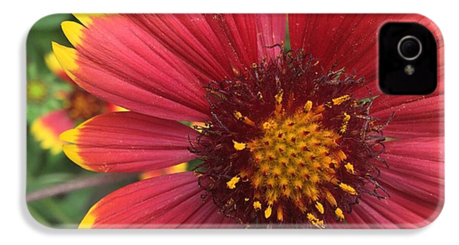 Orange Red Flower - Phone Case