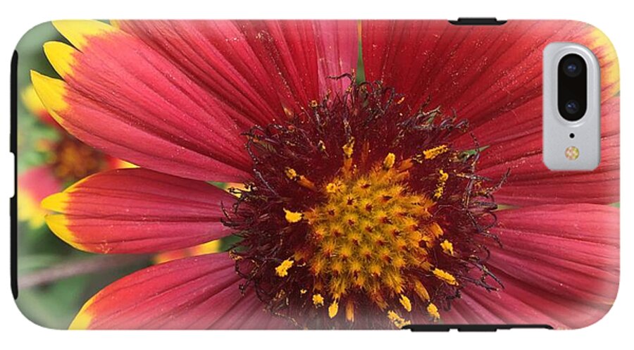 Orange Red Flower - Phone Case