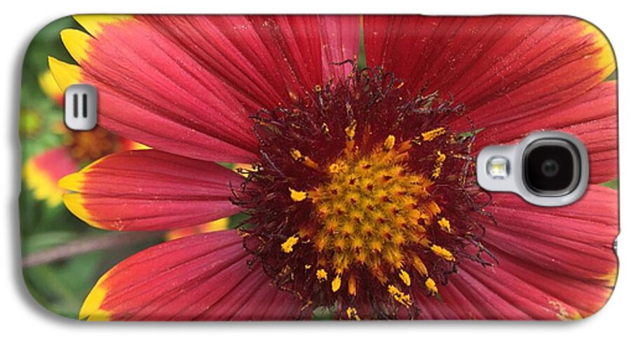 Orange Red Flower - Phone Case