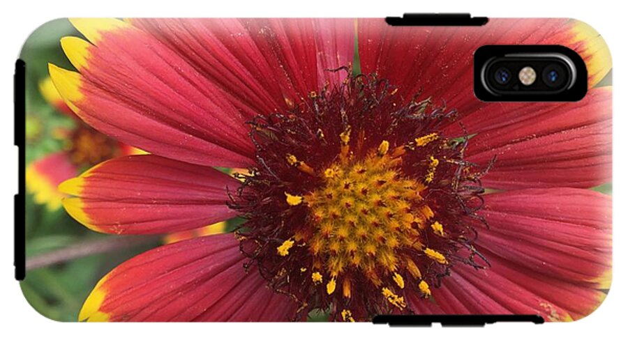 Orange Red Flower - Phone Case