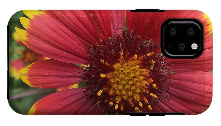 Orange Red Flower - Phone Case