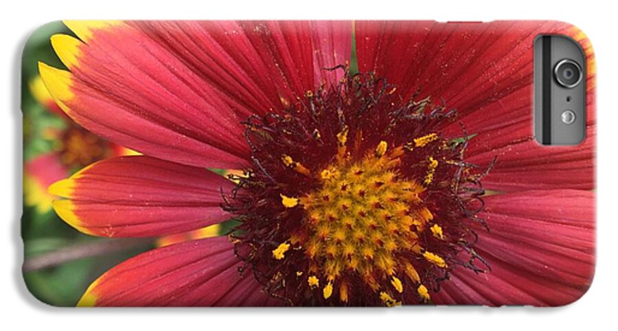 Orange Red Flower - Phone Case