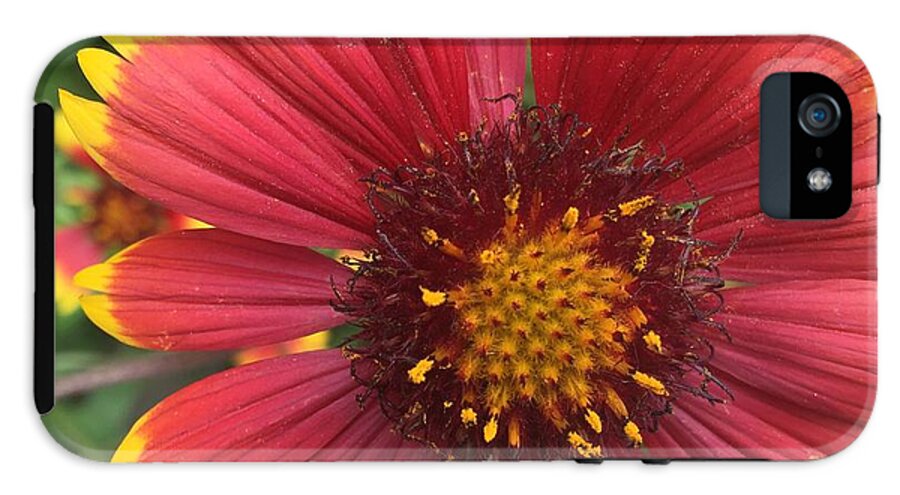Orange Red Flower - Phone Case