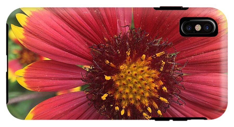 Orange Red Flower - Phone Case