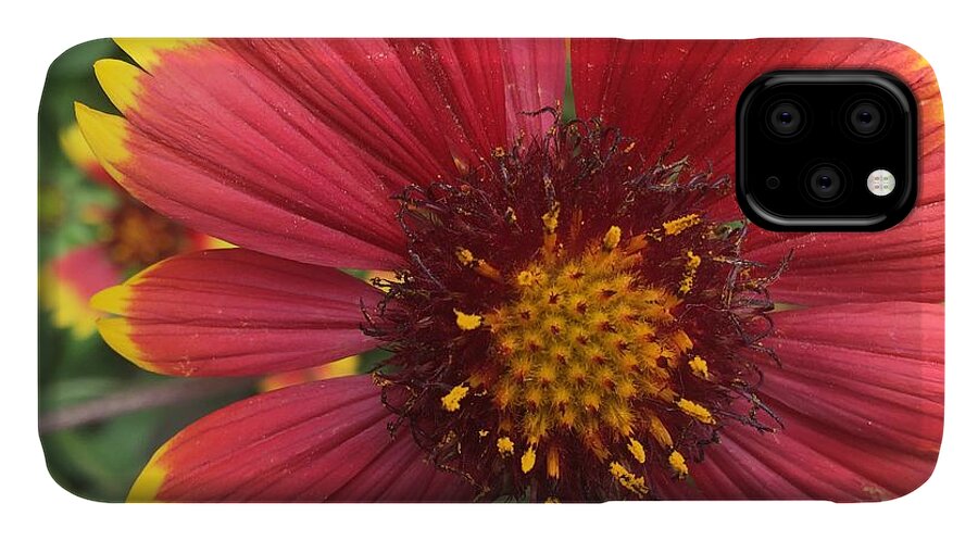Orange Red Flower - Phone Case