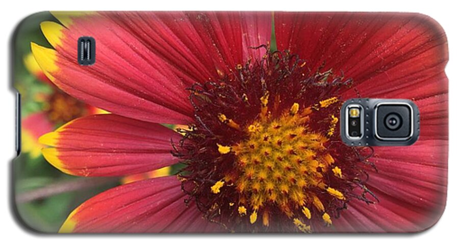 Orange Red Flower - Phone Case