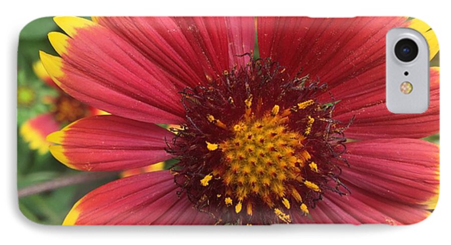 Orange Red Flower - Phone Case